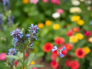 Projekt domu z garażem – dlaczego warto go zrealizować?