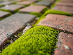 Maszyny wielofunkcyjne do deserów mrożonych – lody, shake’i i granity w jednym urządzeniu