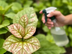 Domy z bali projekty – co warto wiedzieć przed budową?